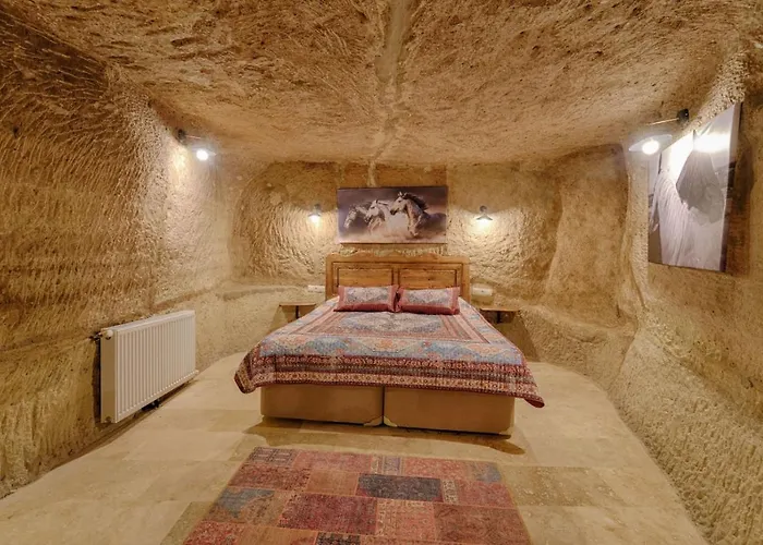 Ξενοδοχείο Avlu Cave House *