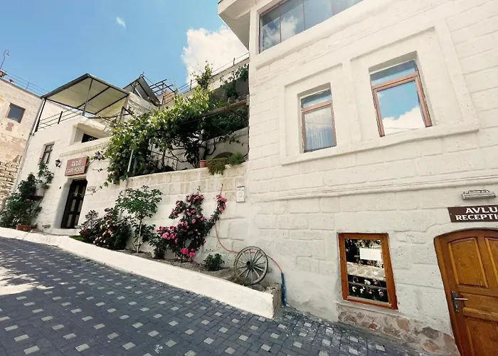 Hotel Avlu Cave House