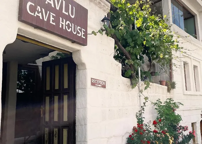 Avlu Cave House Ξενοδοχείο *